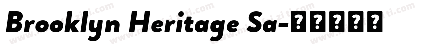 Brooklyn Heritage Sa字体转换